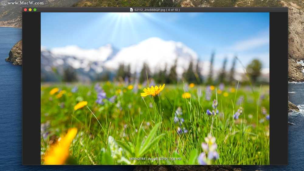Photolemur V3 1.1.0.2443 中文安装版 